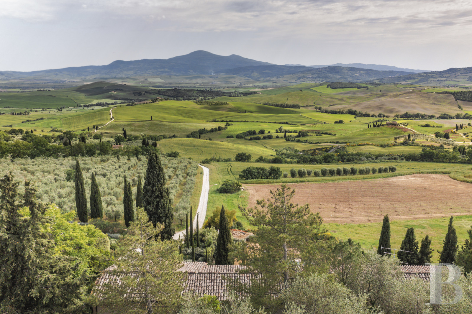 An old olive grove farmhouse restored to its former glory, overlooking the countryside in the Val d'Orcia in Tuscany - photo  n°2